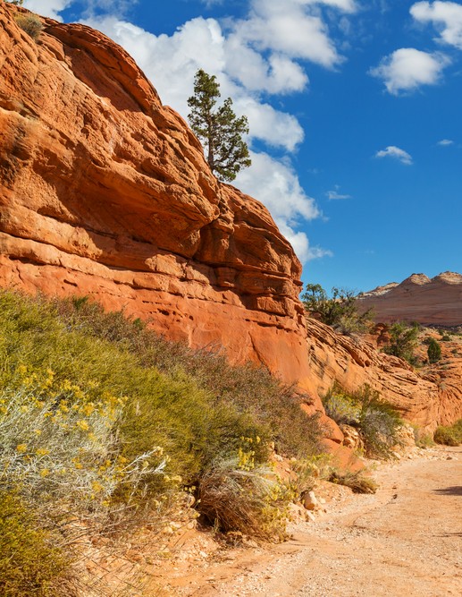 shutterstock_558354262 (2) Sandy Utah